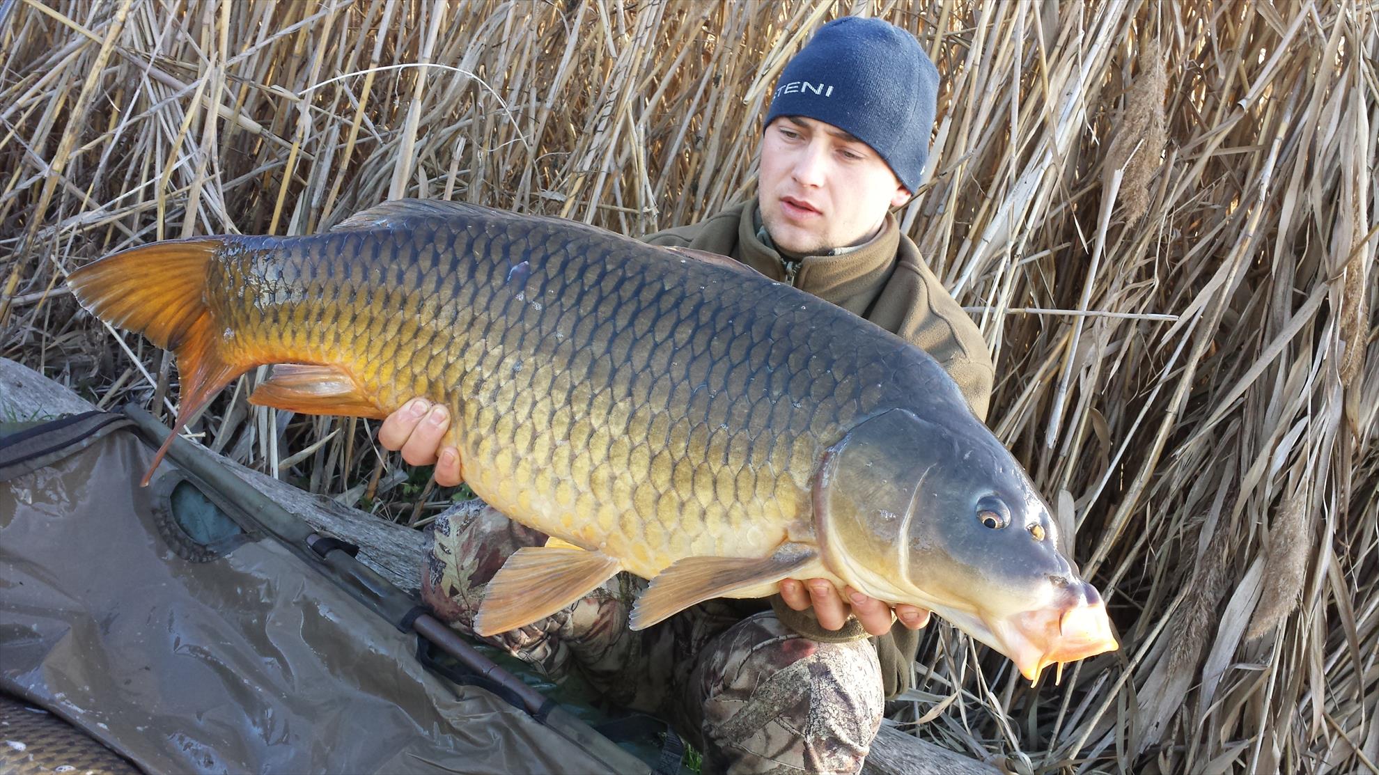 Tancabesti 14 - 16 mar. - 2014-03-16-083437.jpg